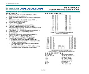 DS1250Y-100.pdf