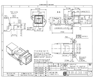 RP031X1.000-DAN.pdf