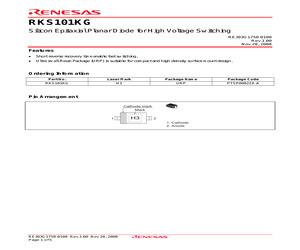 RKS101KG.pdf