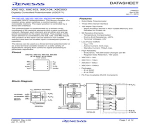 X9C503SIT2C7928.pdf