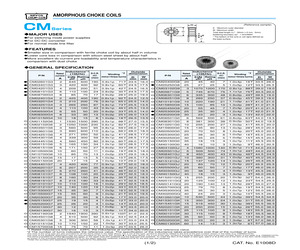 CM06101G3E.pdf