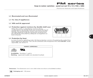 FML18A218T000.pdf