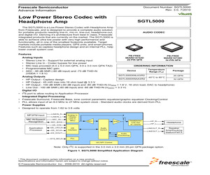 SGTL5000XNAA3/R2.pdf