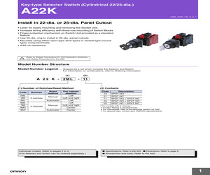 A22K-2AL-11.pdf