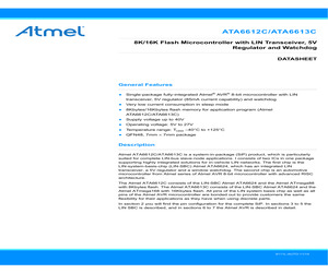 ATA6613C-PLQW-1.pdf