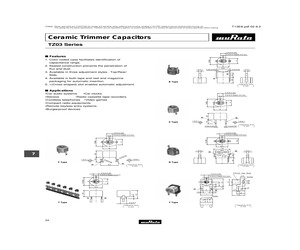 TZ03R900Y169B00.pdf