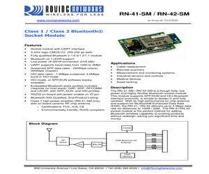 RN41SM-I/RM.pdf