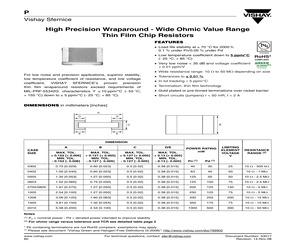 P0402E100JN.pdf