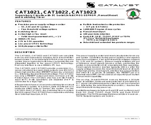 CAT1021JE-42TE13.pdf