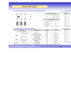 DX21DFIG01.pdf