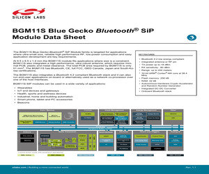 BGM11S12F256GA-BG2.pdf