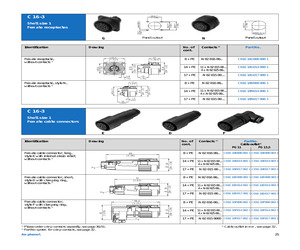 C01610D0170031.pdf