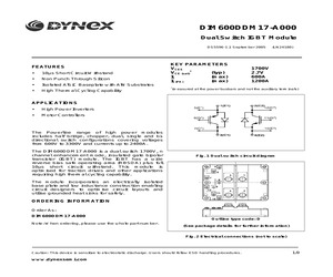 DIM600DDM17-A000.pdf