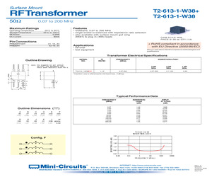 T2-613-1-W38.pdf