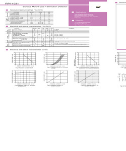 RPI-1031.pdf