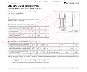 2SB0873.pdf