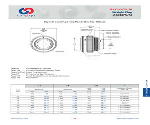 AE83375W1063.pdf