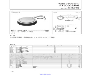 FT5000AP-8.pdf