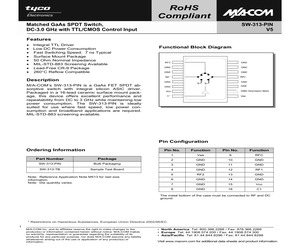 SW-313-TB.pdf