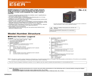 E5ER-Q43B-FLK AC100-240V.pdf