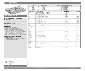 SK100KQ.pdf