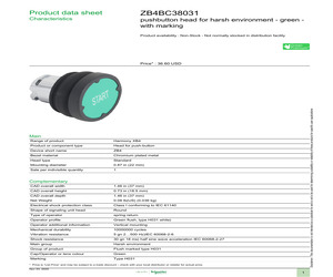 ZB4BC38031.pdf