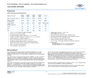 NT5TU128M8BJ-37B.pdf