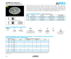 CWR15FB335JBLB.pdf