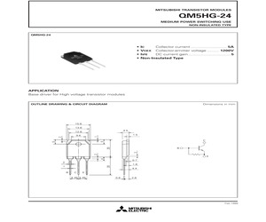 QM5HG-24.pdf