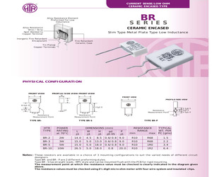 BRPBR101R0J.pdf