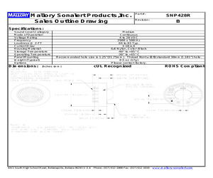 SNP428R.pdf