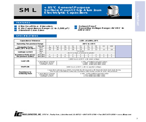 226SML100MD10.pdf