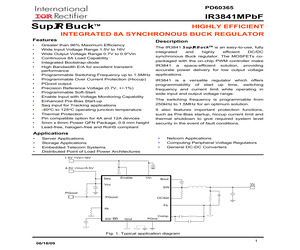 IRDC3841.pdf