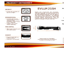 EVLLM21S.pdf