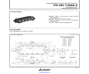 PM30CTJ060-3.pdf