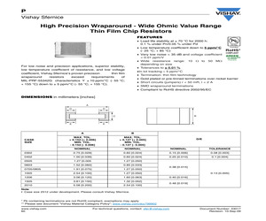 P0603Y1002WBT0933.pdf