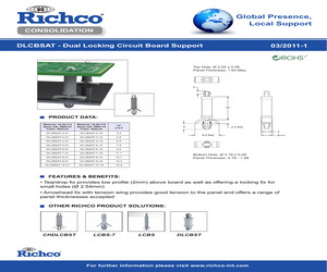 DLCBSAT-7-01.pdf