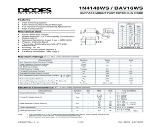 BAV16WS.pdf