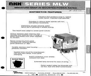 MLW3013-H1A.pdf