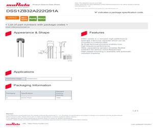 DSS1ZB32A222Q91A.pdf