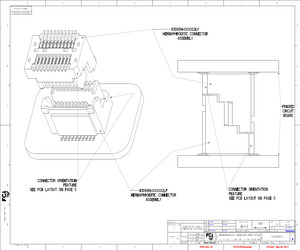 10106814-043002LF.pdf