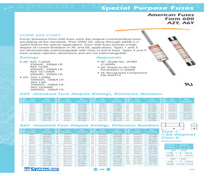 A2Y100-3.pdf