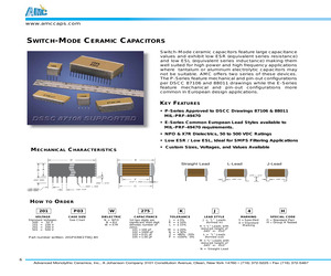 101E25W655JN4C.pdf