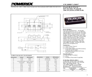 CM100DY-24NF.pdf