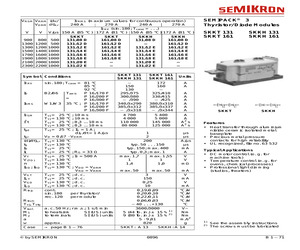 SKKH161/08D.pdf