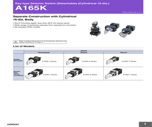 A165K-A2AL-1.pdf