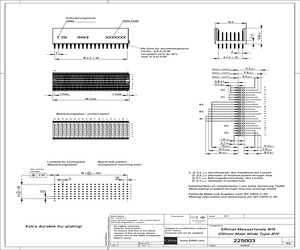 225003.pdf