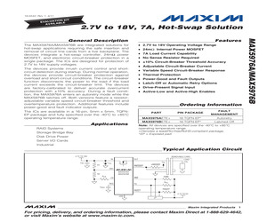 MAX5976AETE+.pdf