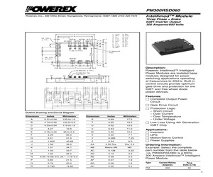 PM300RSD060.pdf