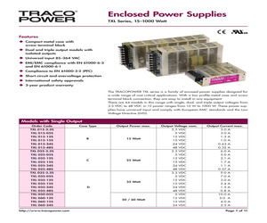 TXL100-0534TI.pdf